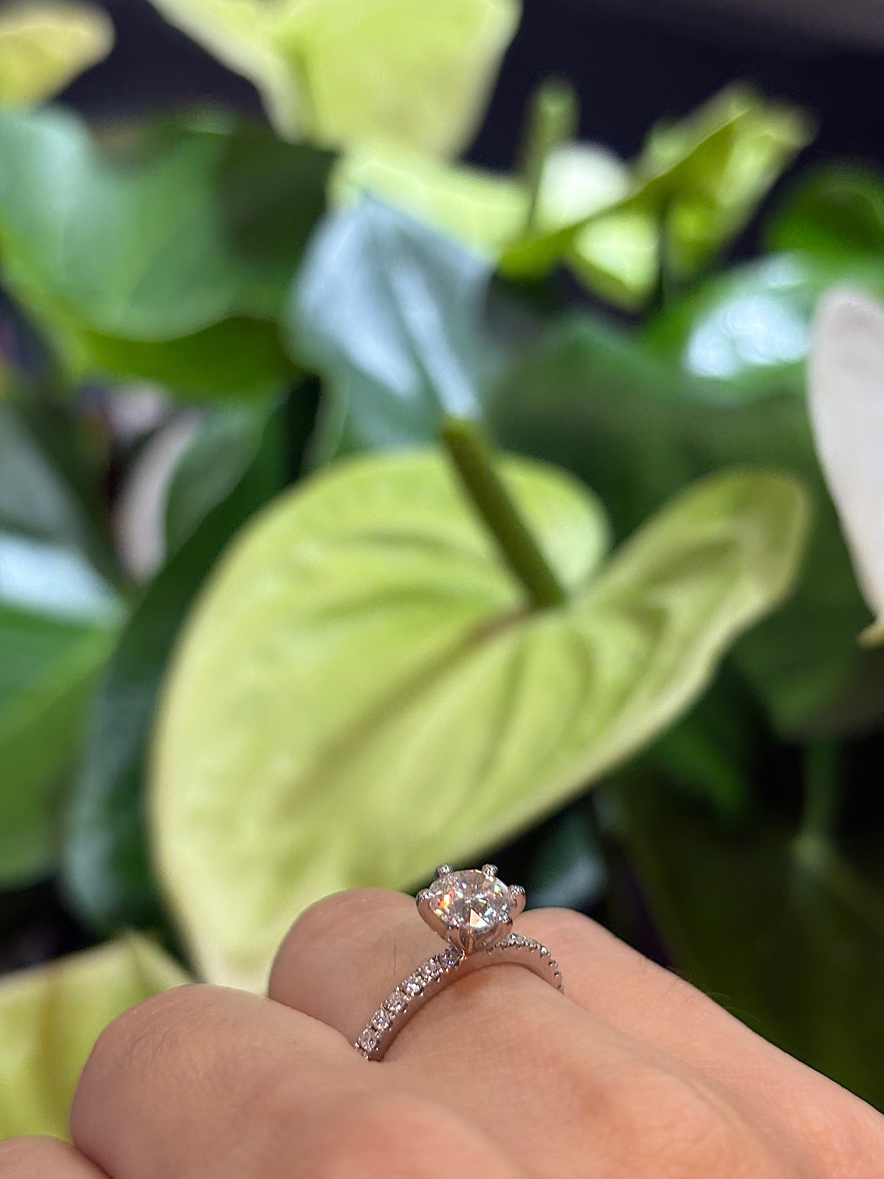 Royal Solitaire Ring