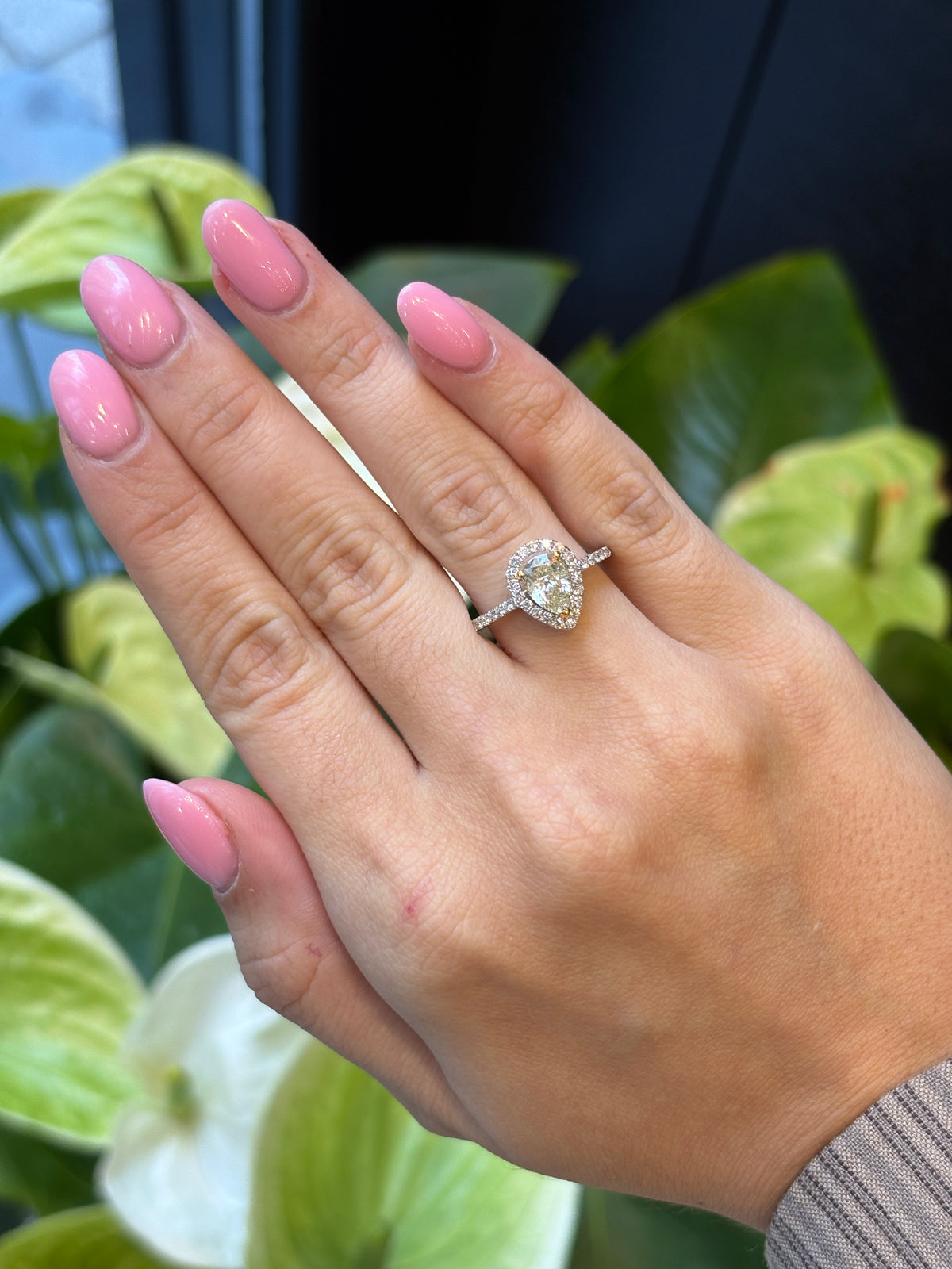 Pear Halo Diamond Ring