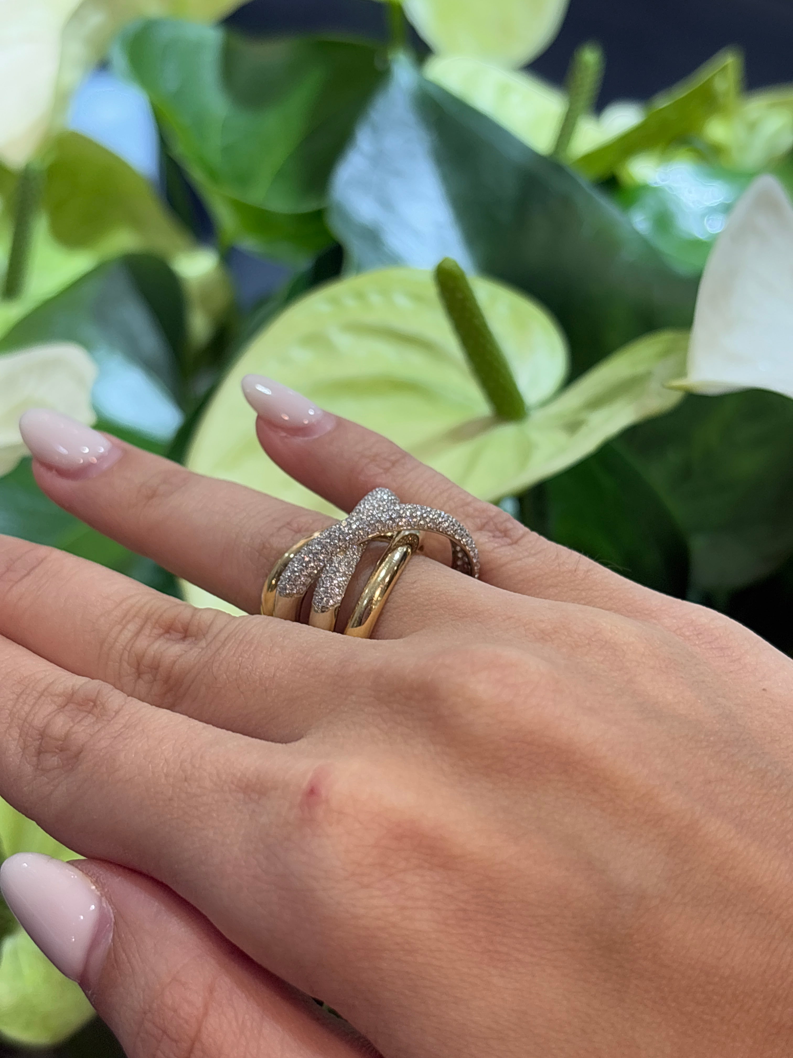Éclipse Royale Ring