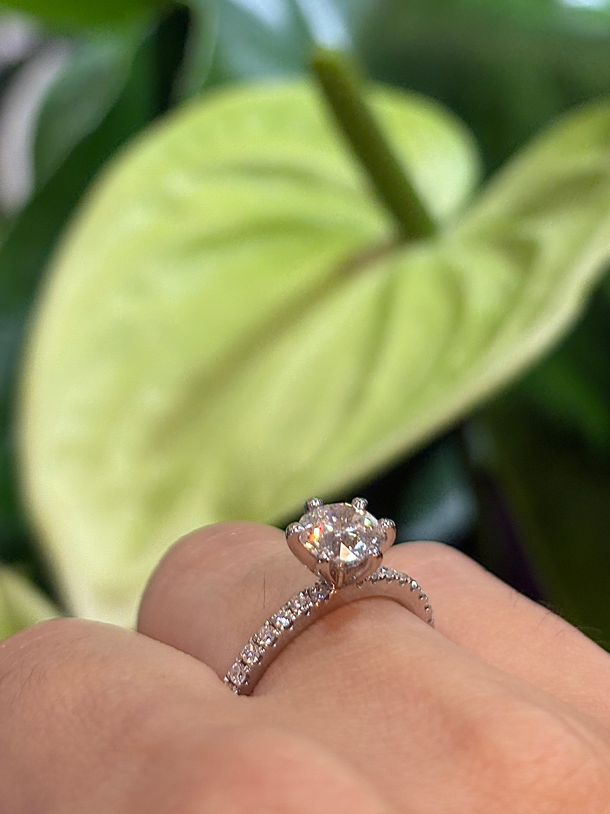 Royal Solitaire Ring