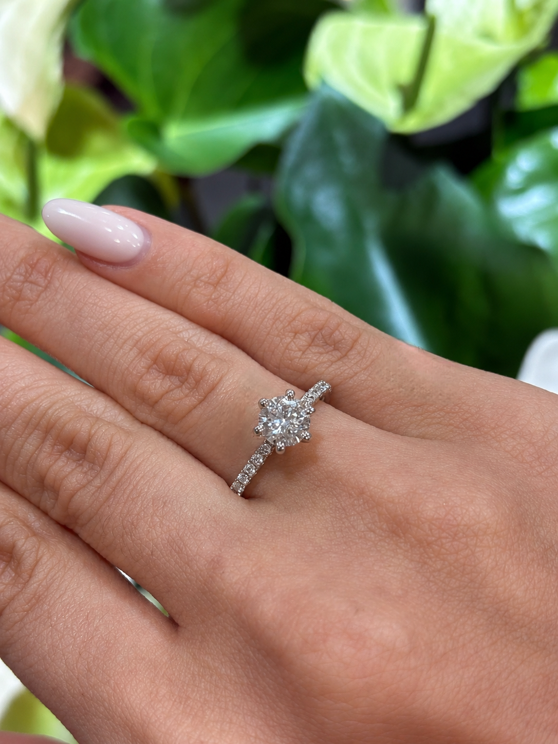 Royal Solitaire Ring