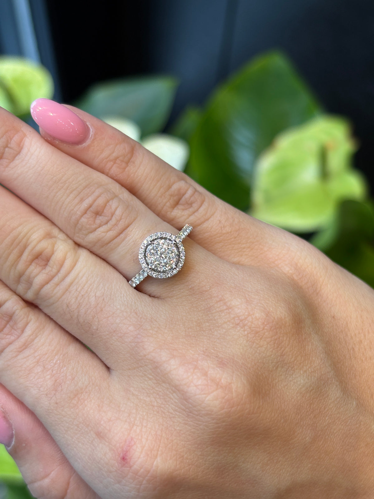 The Rosette Ring