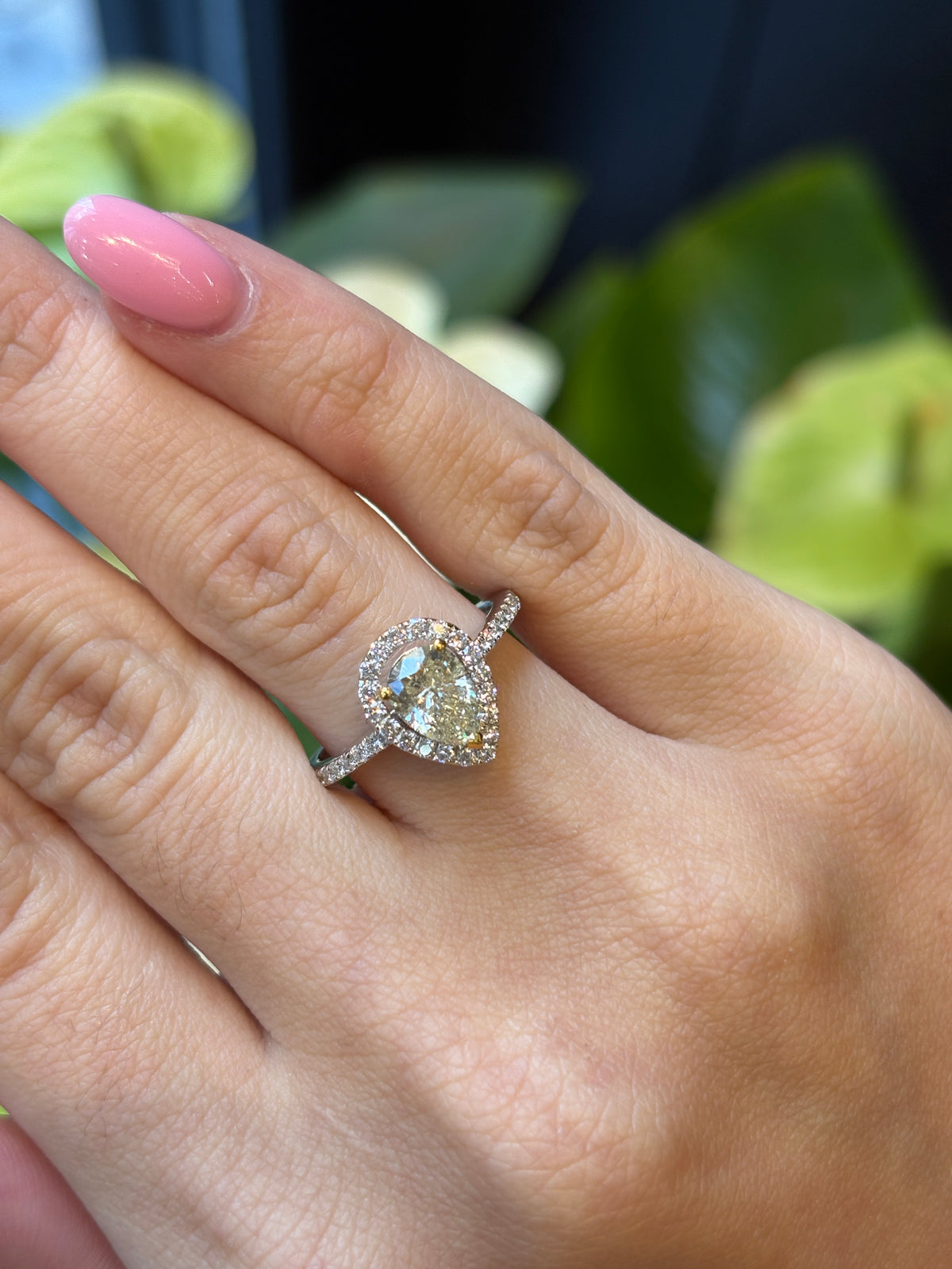 Pear Halo Diamond Ring